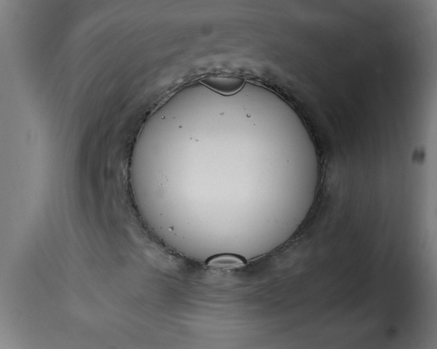 X0000115481489200911201827