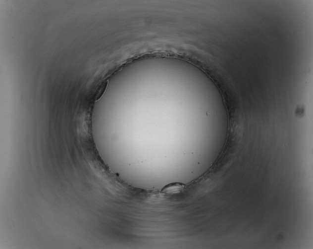 X0000115481490200911201827