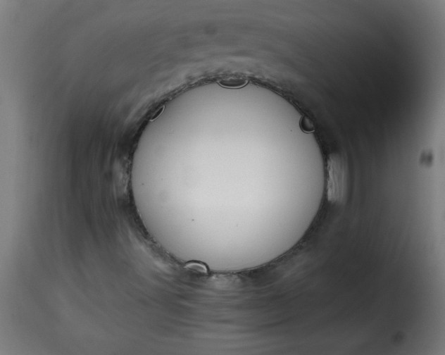 X0000115481491200911201827