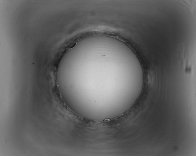 X0000115481493200911201827