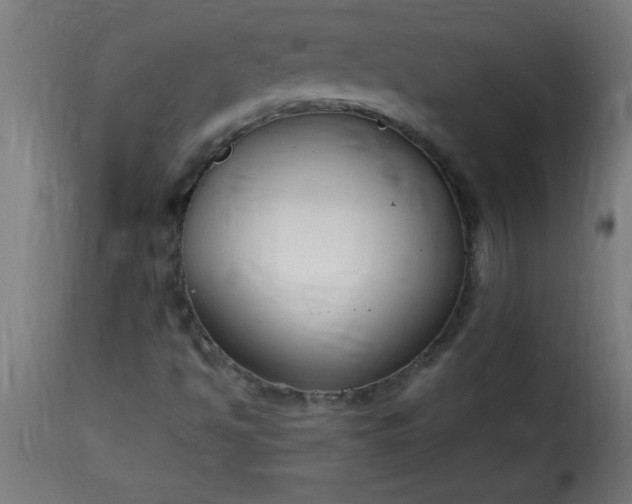 X0000115481494200911201827