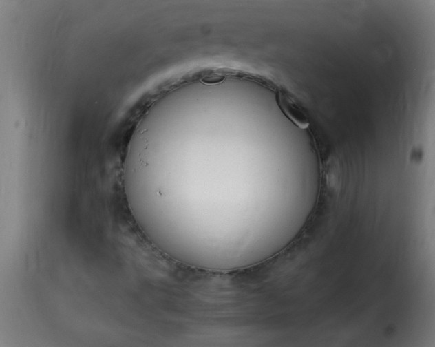 X0000115481495200911201827