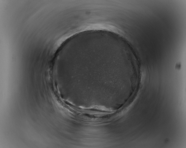 X0000115481497200911201827