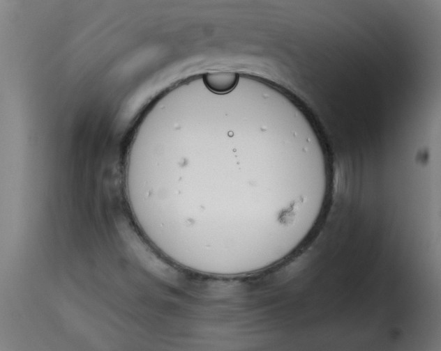 X0000115481498200911201827