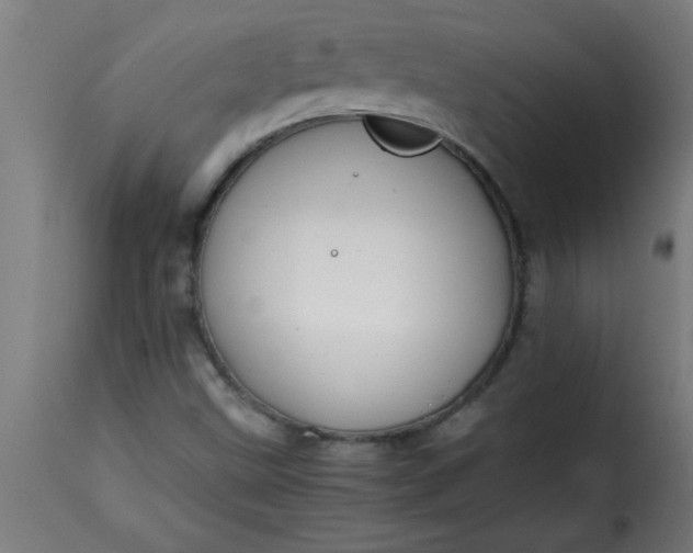 X0000115481499200911201827