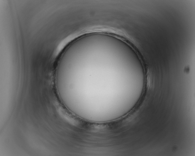 X0000115481501200911201827