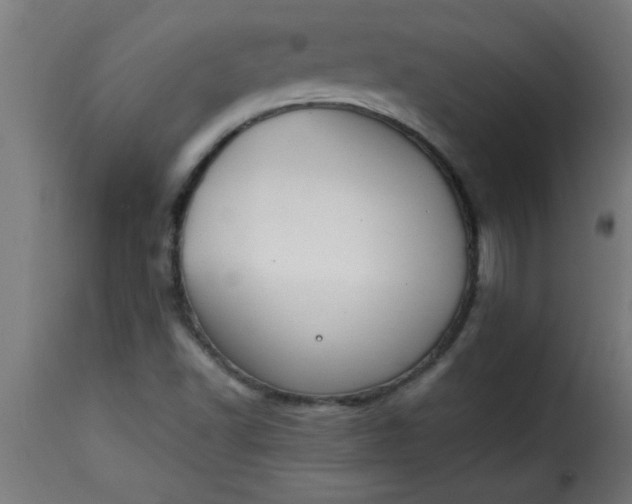 X0000115481502200911201827