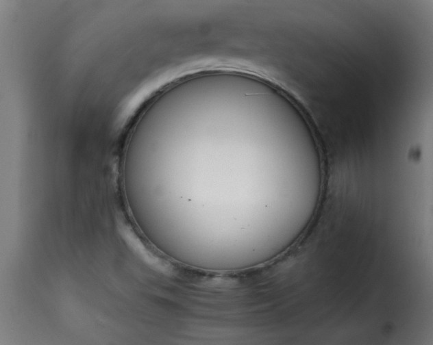 X0000115481503200911201828