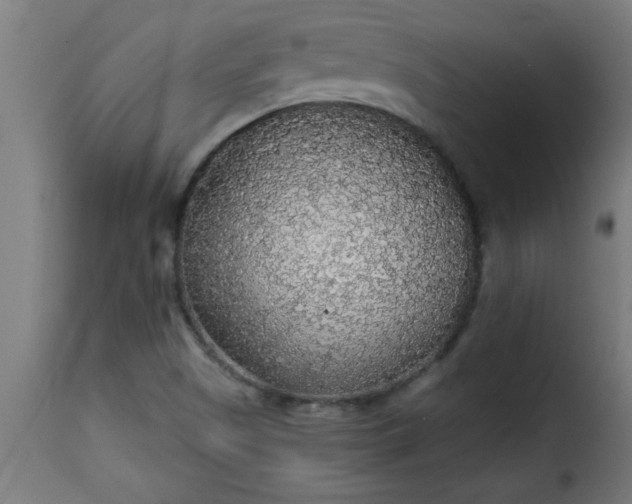 X0000115481505200911201828