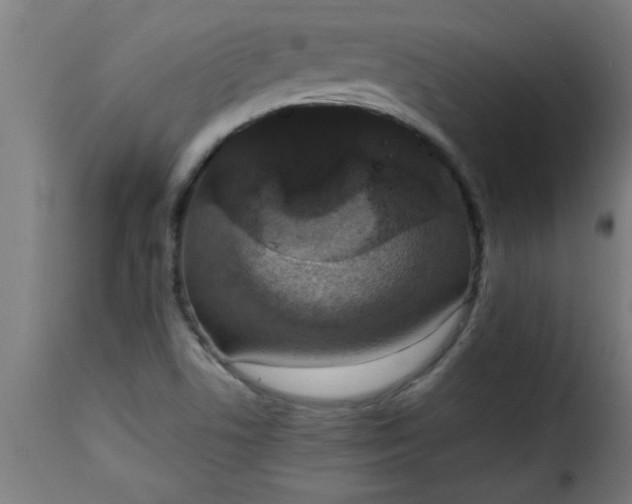 X0000115481506200911201828