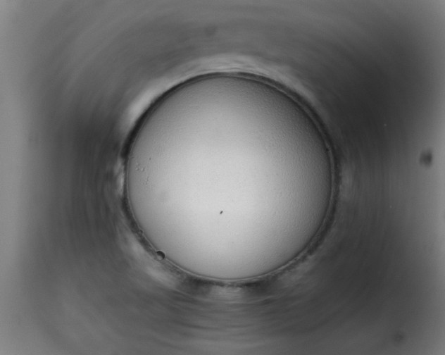 X0000115481509200911201828