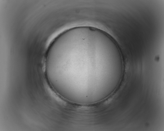 X0000115481510200911201828