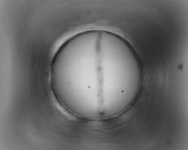 X0000115481511200911201828