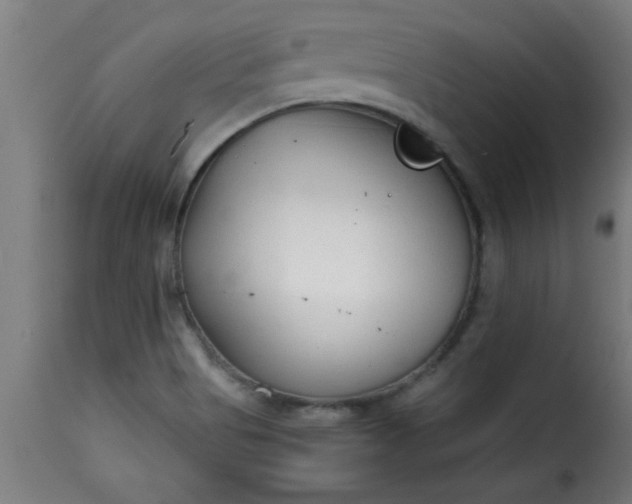 X0000115481513200911201828