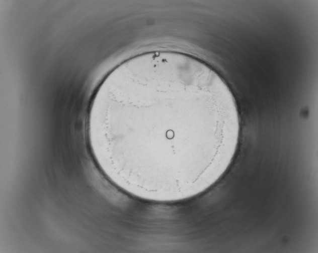 X0000115481514200911201828