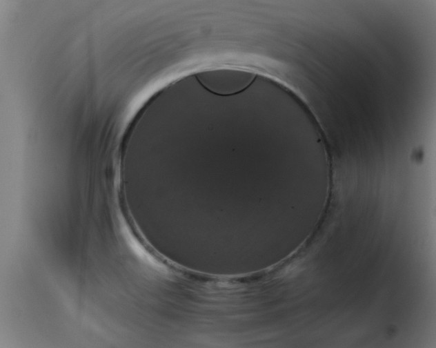 X0000115481515200911201828