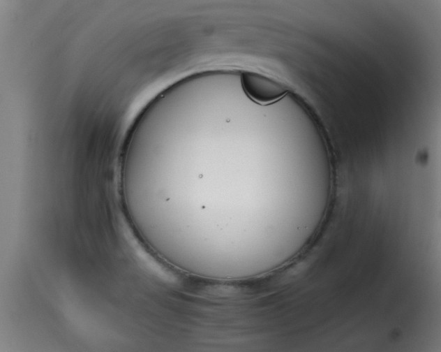 X0000115481517200911201828