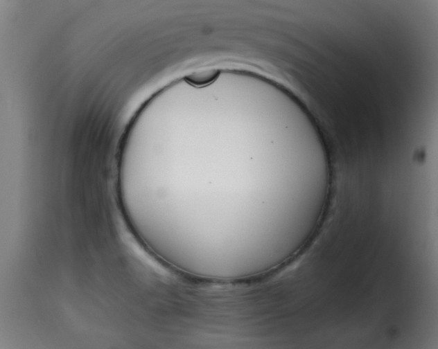 X0000115481518200911201828