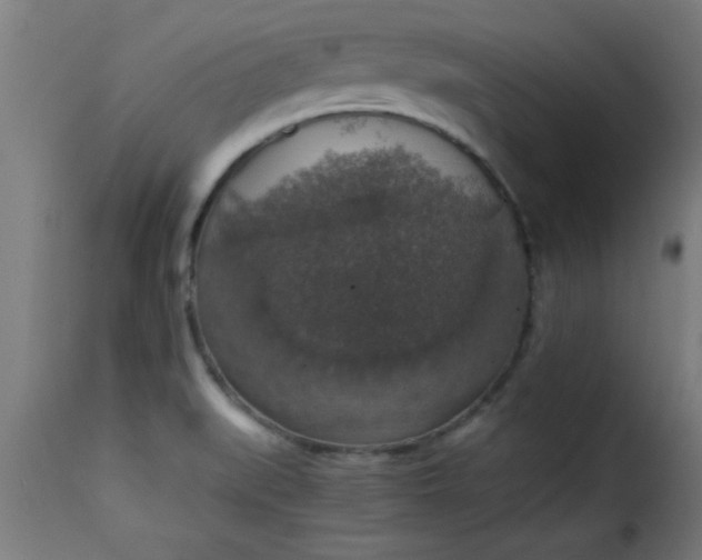 X0000115481519200911201828