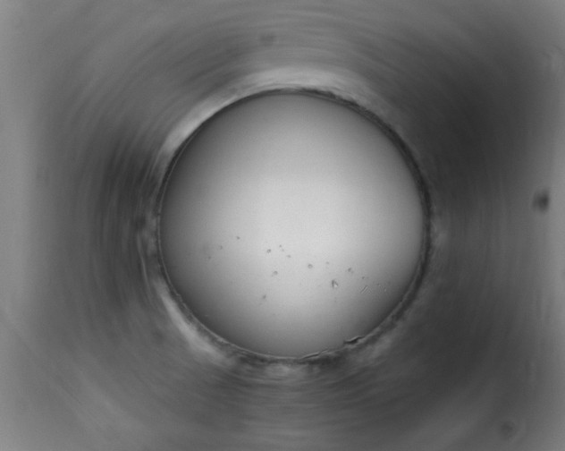 X0000115481521200911201828