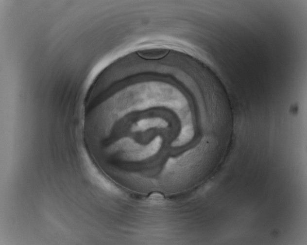 X0000115481522200911201828