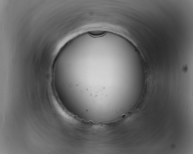 X0000115481523200911201828