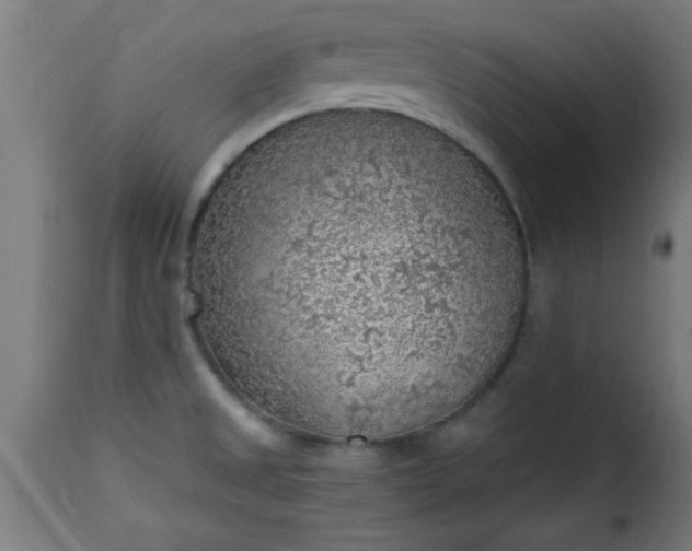 X0000115481525200911201828