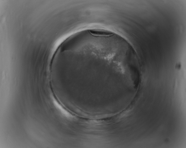 X0000115481527200911201828