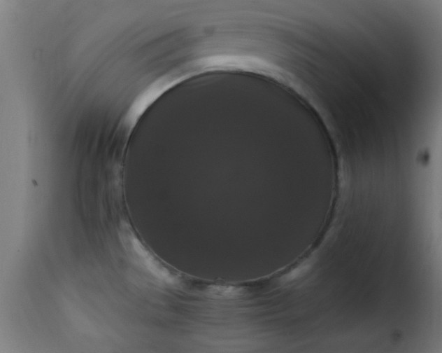 X0000115481529200911201828