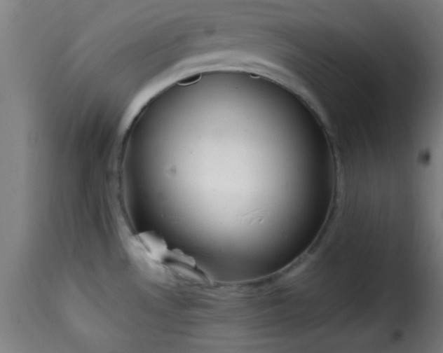 X0000115481530200911201828