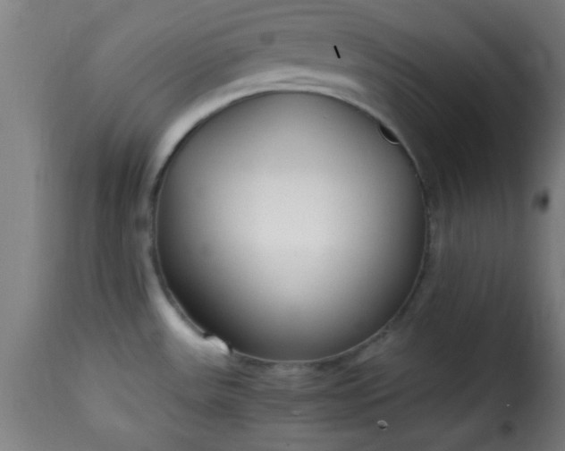 X0000115481531200911201828