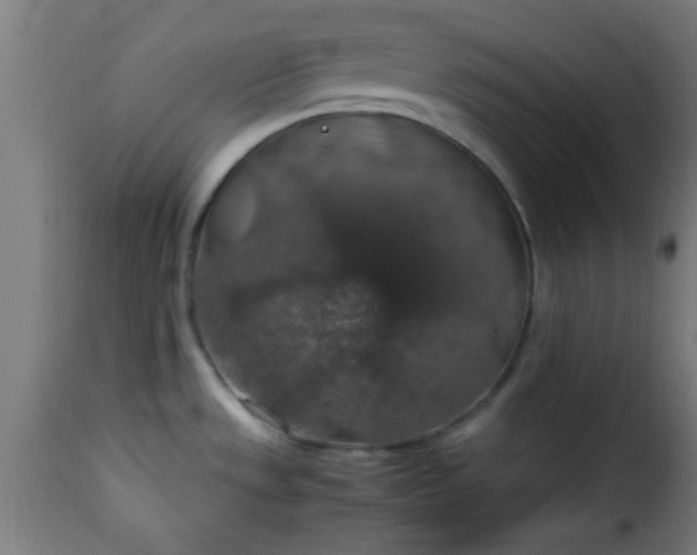 X0000115481533200911201828