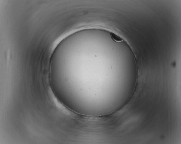 X0000115481534200911201828