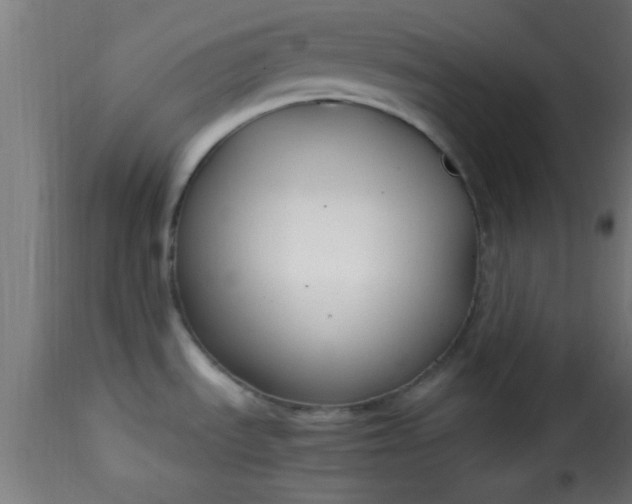 X0000115481535200911201828