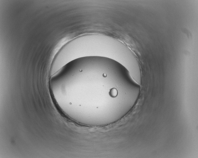 X0000115480003200911271338