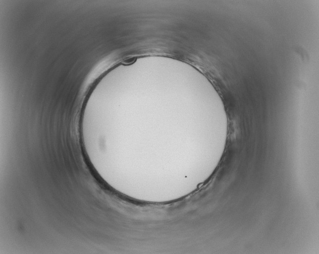 X0000115480004200911271337