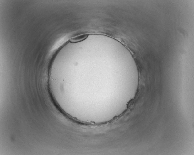 X0000115480005200911271337