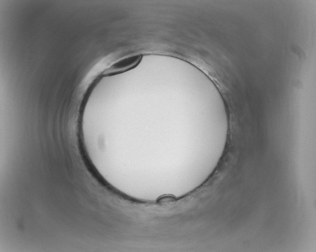 X0000115480007200911271337