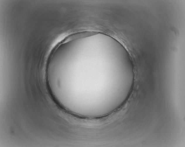 X0000115480008200911271337