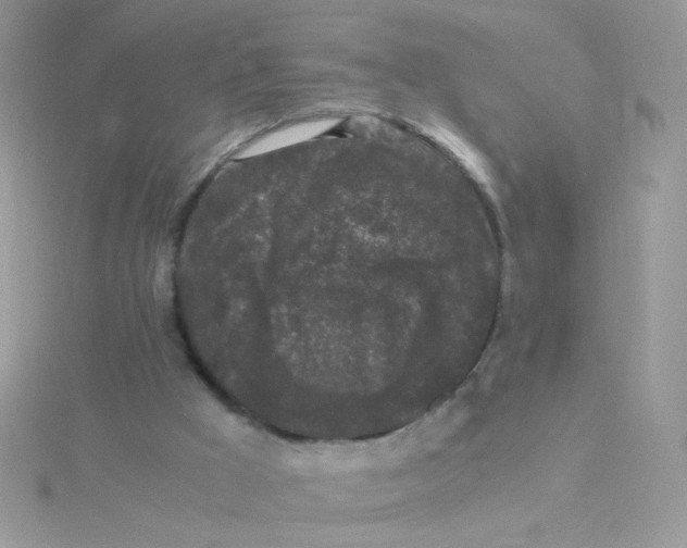 X0000115480009200911271337