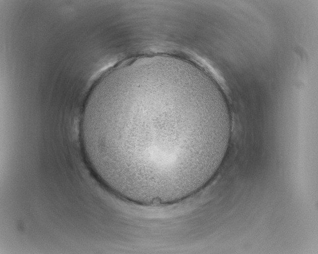 X0000115480010200911271337