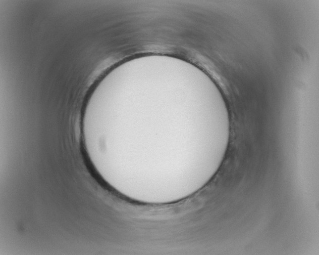 X0000115480011200911271337