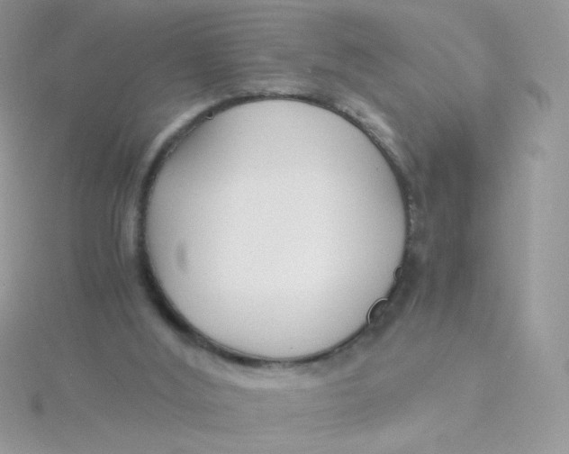 X0000115480012200911271337