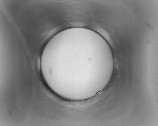 X0000115480013200911271337