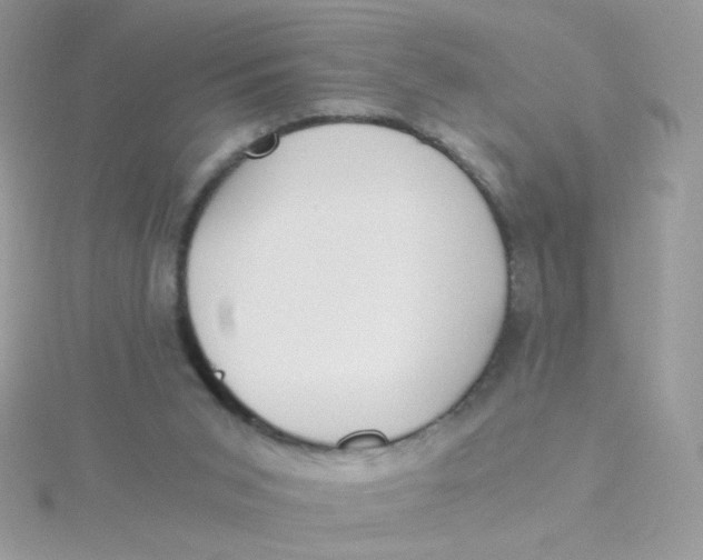 X0000115480015200911271337