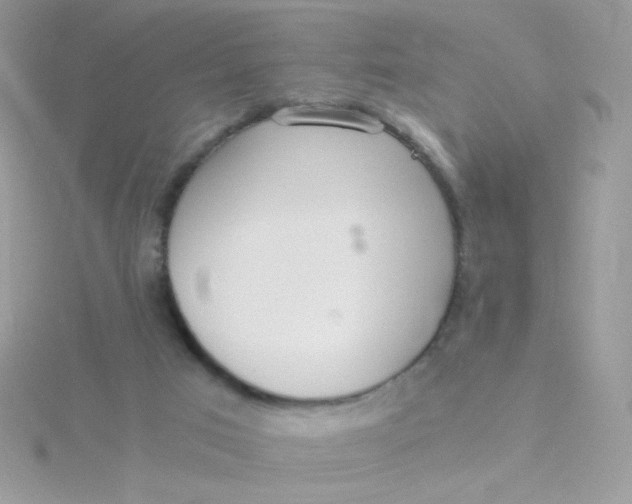 X0000115480017200911271337