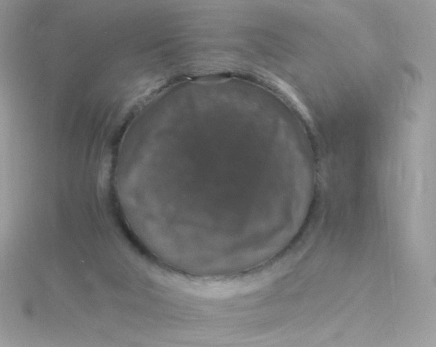 X0000115480018200911271337