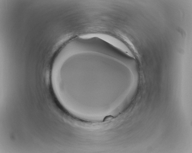 X0000115480019200911271337