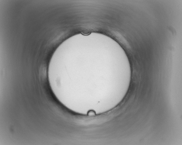 X0000115480021200911271337