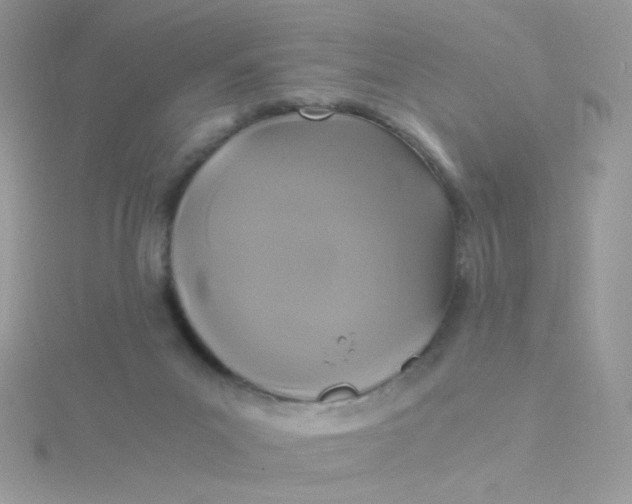 X0000115480023200911271337